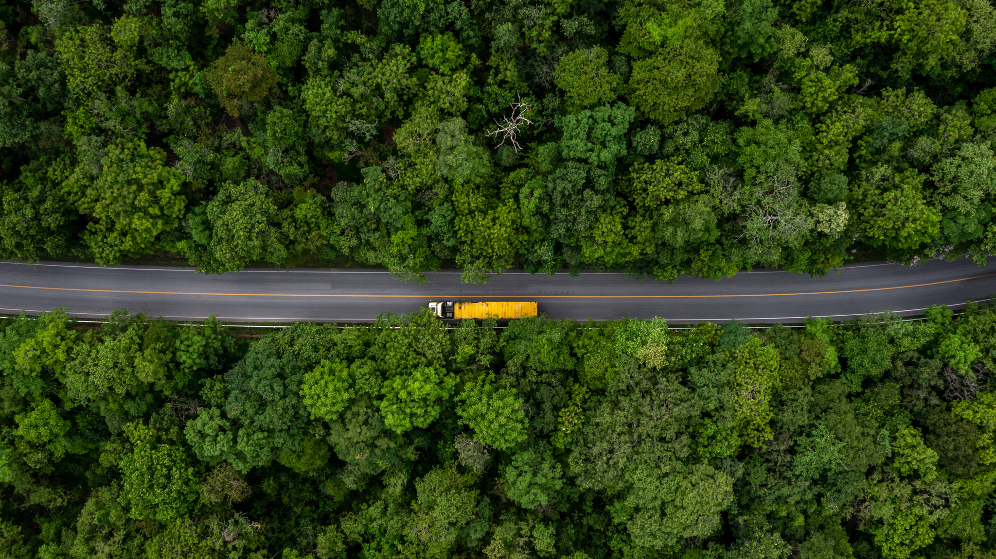 Green Logistics and Sustainability in the Supply Chain